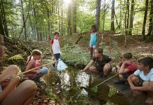 5 Tipps: Nationalpark Bayerischer Wald