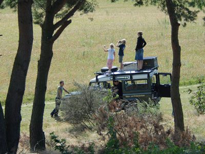 Eine Insel-Safari auf Usedom