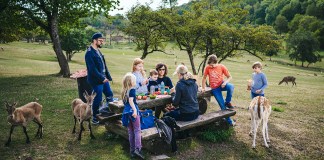 Familienurlaub im Saarland: Kleines Land – großes Abenteuer