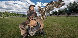 Greifvogel-Flugvorführung im Vogtland: Falknerei Herrmann