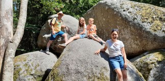 Unser Tipp für Familien: Bauernhofurlaub im Hochschwarzwald