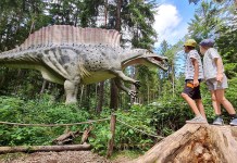 Dinosaurier Museum Altmühltal: ein Familienausflug in die Urzeit