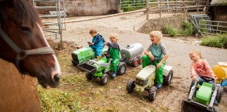 Urlaub auf dem Bauernhof: der Hilserhof im Schwarzwald