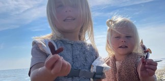 Niederlande: Familienurlaub auf der Insel Texel