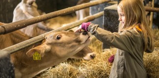 Urlaub im Schmallenberger Kinderland: 7 Tipps für Ferien auf dem Bauernhof