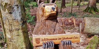 Calw im Schwarzwald: 7 Tipps für Familien