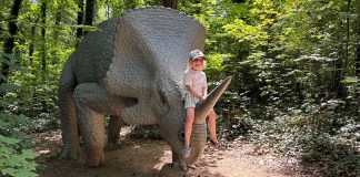 Saurierpark bei Bautzen: Familien-Highlight in Sachsen