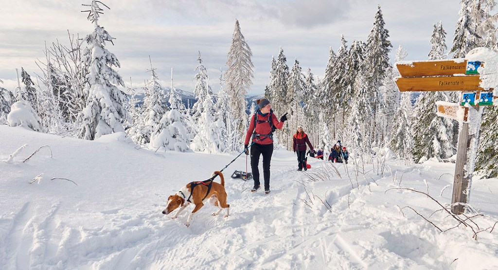 Geheimtipp für sanften Winterurlaub: Ferienregion Nationalpark Bayerischer Wald