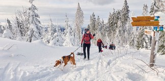 Geheimtipp für sanften Winterurlaub: Ferienregion Nationalpark Bayerischer Wald