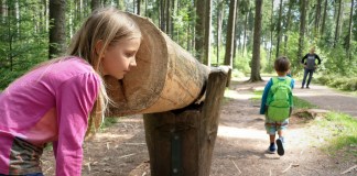 Schwarzwald mit Kindern: 10 Themenwanderwege, die richtig Spaß machen