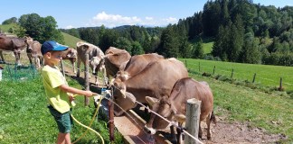 Wangarhof im Allgäu: Bauernhofurlaub mit Kleinkind