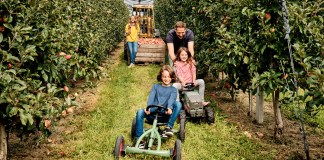 Bauernhofurlaub am Bodensee: 8 Höfe, die Familien wirklich glücklich machen