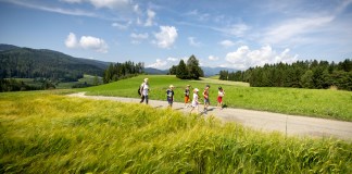 Mit Kindern in der Erlebnisregion Murau in der Steiermark: Natur, Geschichte und Abenteuer Kinder auf dem Wanderweg Hans im Glück Weg in der Region Murau in der Steiermark in Österreich