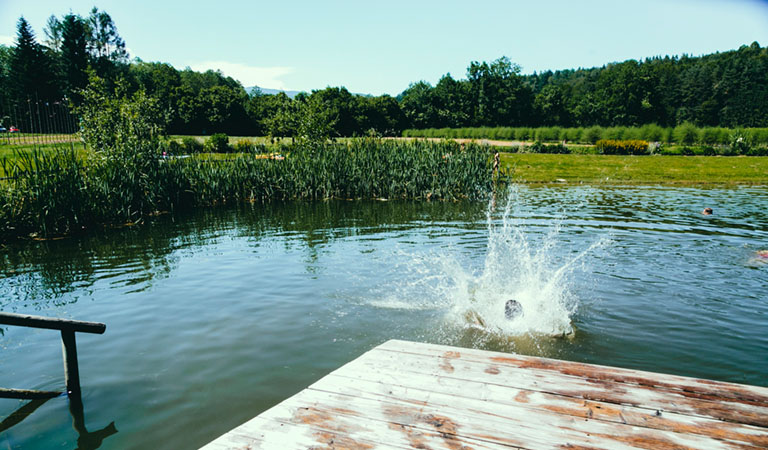 Baden in einem Badesee der Südsteiermark.