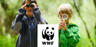 WWF Junior-Camps: Naturnahe Ferienfreizeiten für Familien und Kinder