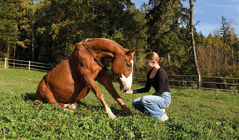 Teenager mit Pferd auf einer Weide des luxuriösen Kinderhotels Ulrichshof im Bayerischen Wald