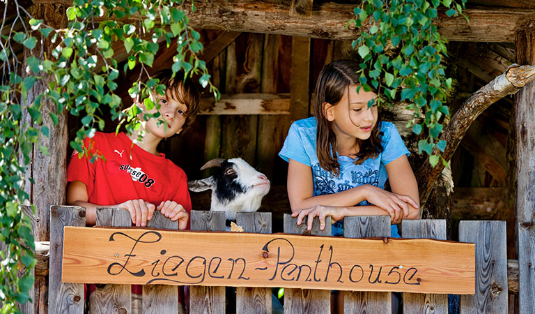 Kinder mit einer Ziege auf auf einem Bauernhof von Urlaub am Bauernhof in der Steiermark in Österreich