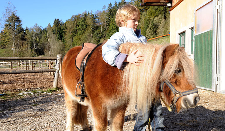 Kleiner Junge umarmt ein kleines Pony.