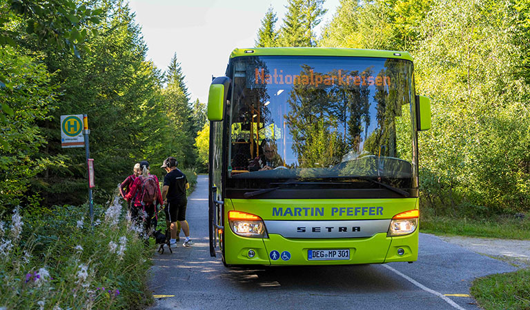 Besonders praktisch und umweltfreundlich: Alle Wanderstrecken lassen sich auch gut mit den öffentlichen Bussen im Bayerischen Wald erreichen.