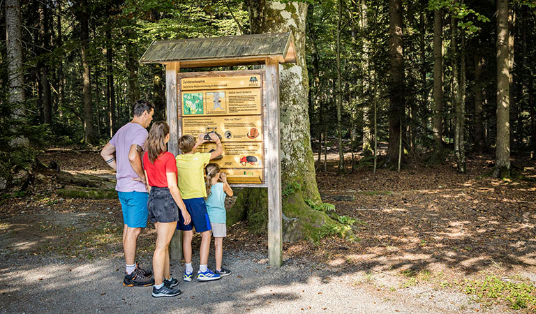 Auf der Familienwanderung Flusskrebs im Bayerischen Wald können Eltern und Kinder an den Informations- und Mitmachstationen entlang des Weges viel entdecken.