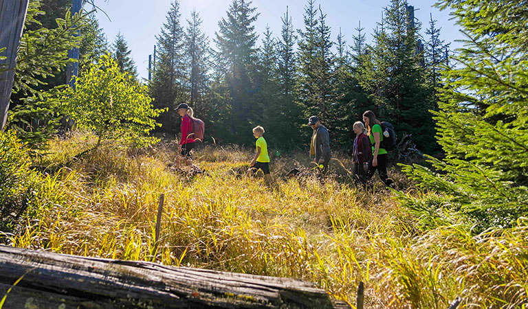 Eine Familie mit Kind wandert durch die Ferienregion Nationalpark Bayerischer Wald.