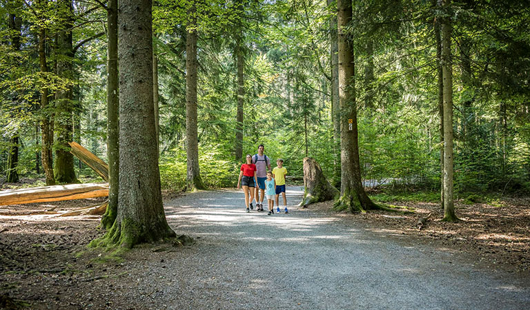 Familie auf dem Rundwanderweg Schwarzstorch im Nationalpark Bayerischer Wald.