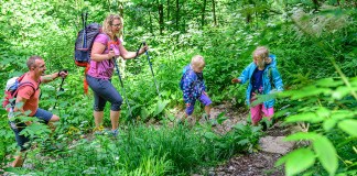 Wandern mit Kleinkind in der Ferienregion Nationalpark Bayerischer Wald: 5 Wanderwege für Familien Familie mit zwei kleinen Kindern wandert auf einem Naturpfad im Wald