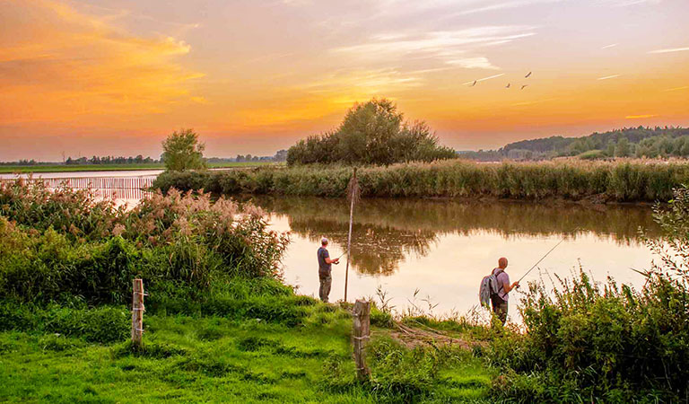 Ein Angelsee mit Anglern im Sonnenuntergang vom Ferienpark Geesthof in Niedersachsen in Deutschland.