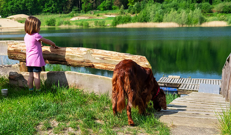 Ein Mädchen und ihr Hund am See im Ferienpark Geesthof in Niedersachsen in Deutschland.