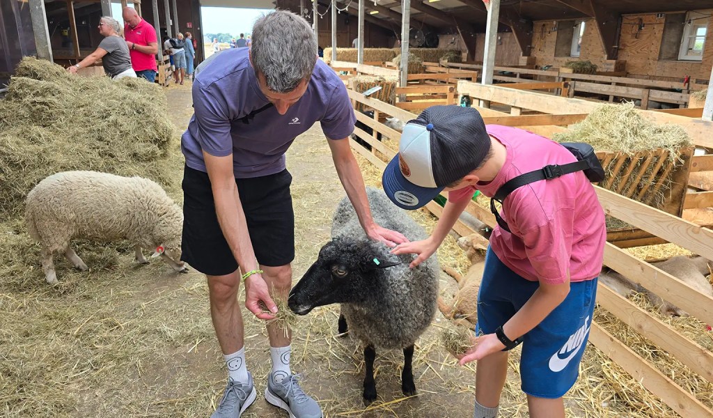 Eine Familie besucht die Schaffarm in der niederländischen Gemeinde Texel.